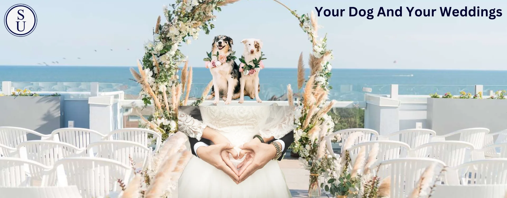 Your dog and your weddings 